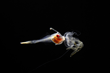 cda3cfc1903611615e1c2f10489806be_윤석배 YSB_4190-1.jpg